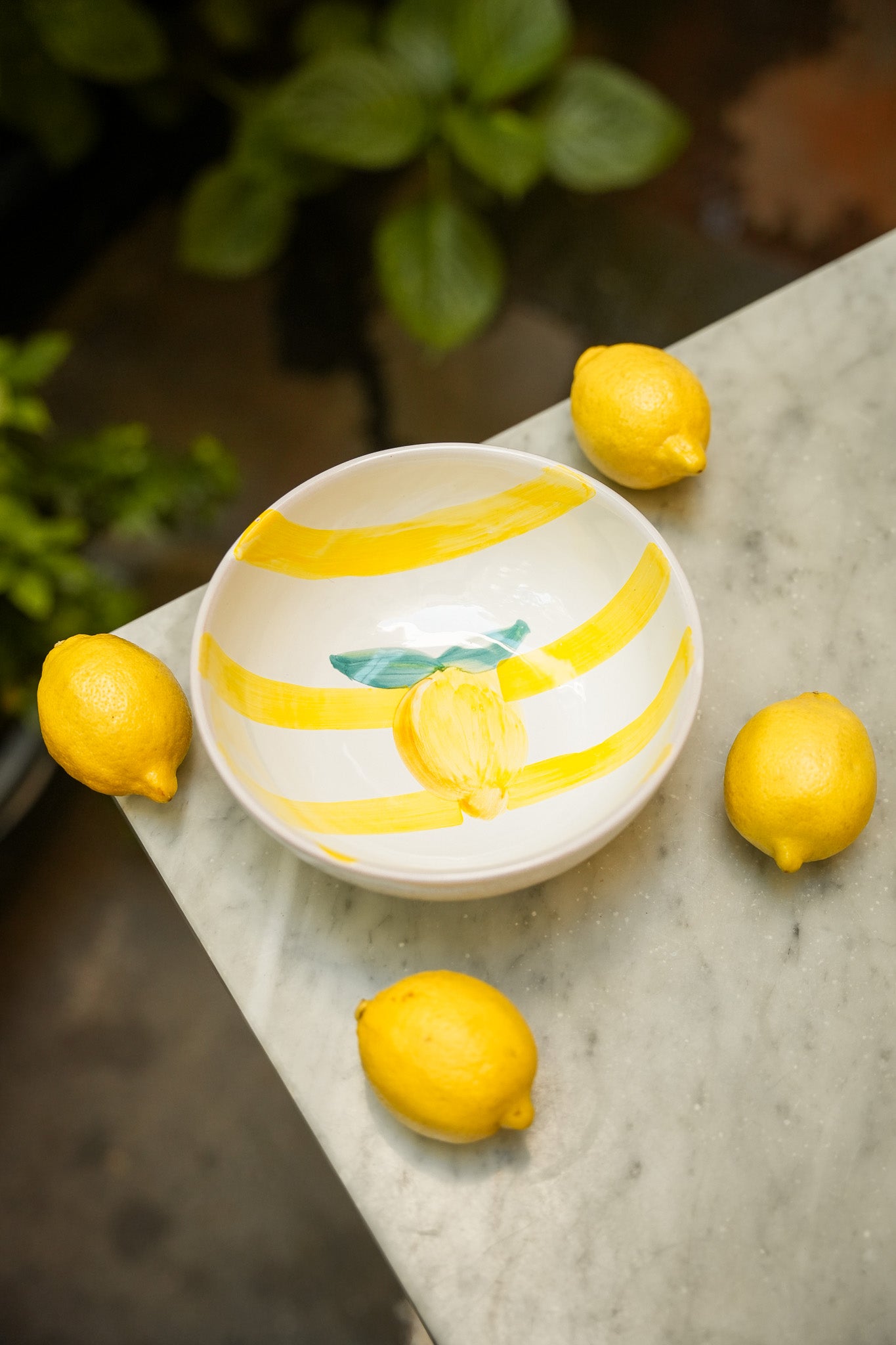 Salad Bowl