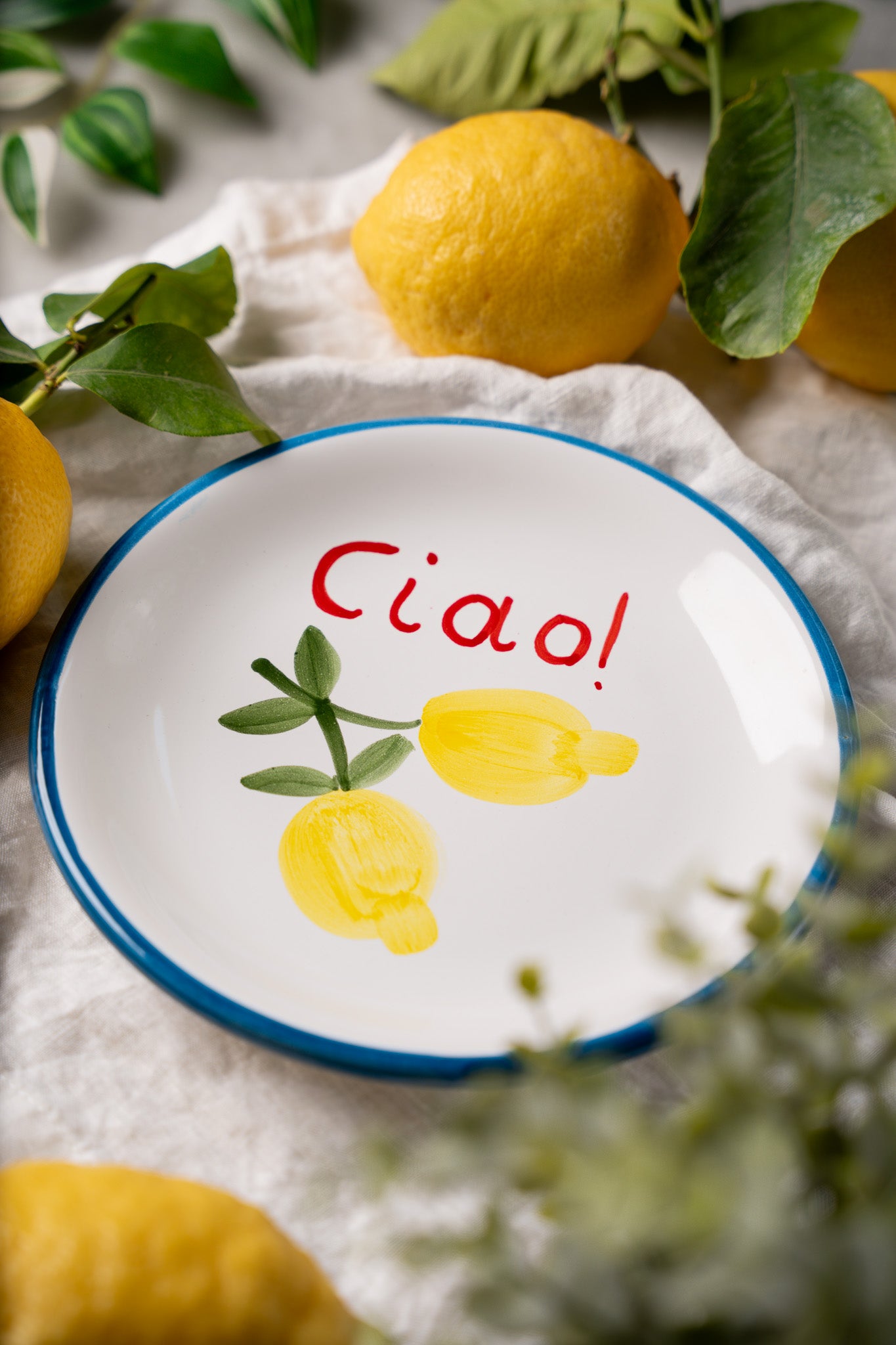 CIAO Plate